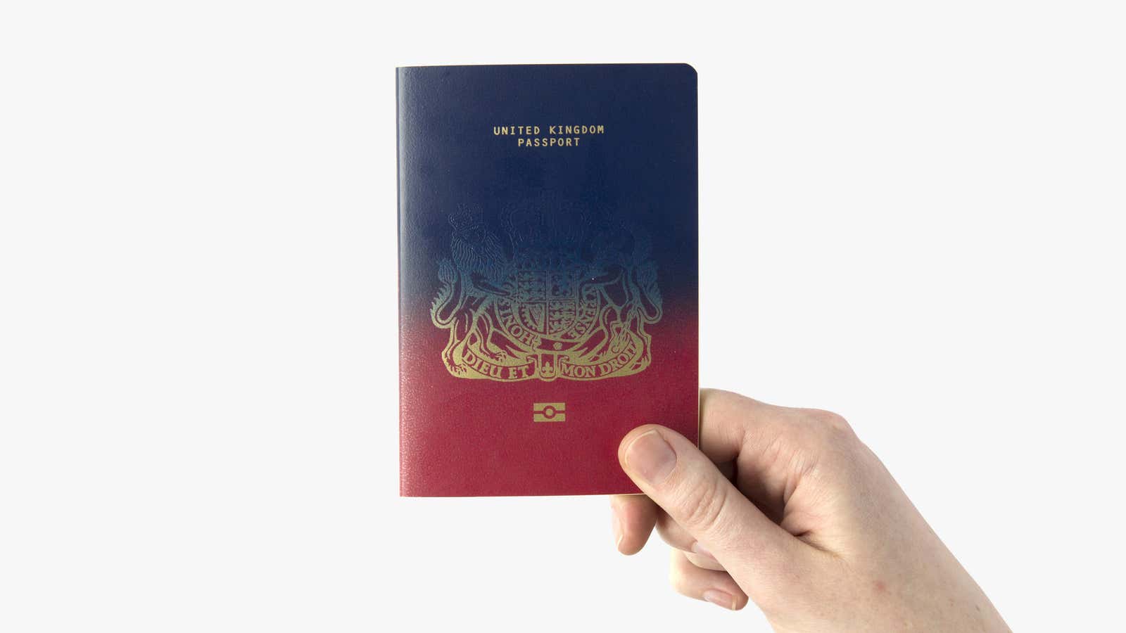 passport design