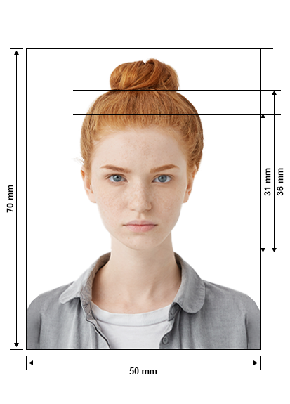 passport dimensions in inches