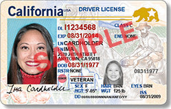 passport dmv