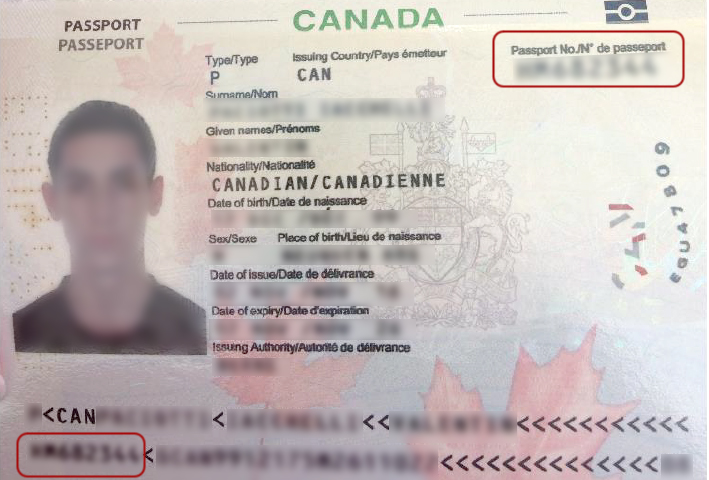 passport document number location