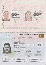 passport expiry mexico