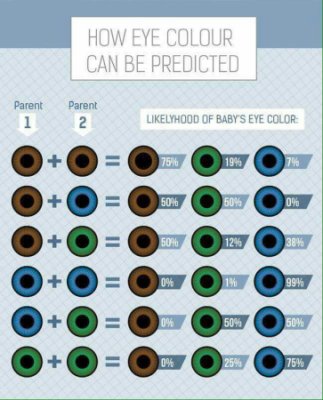 passport eye color