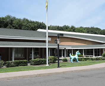 passport ferguson library stamford