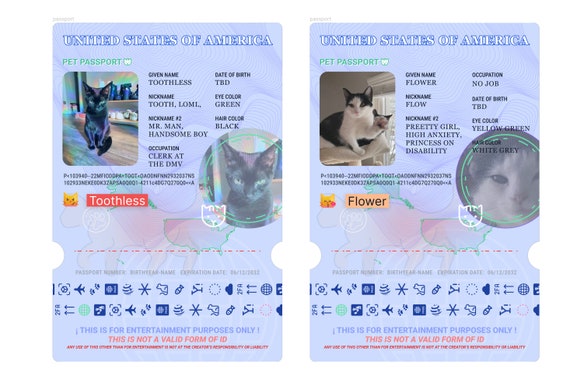 passport for cat