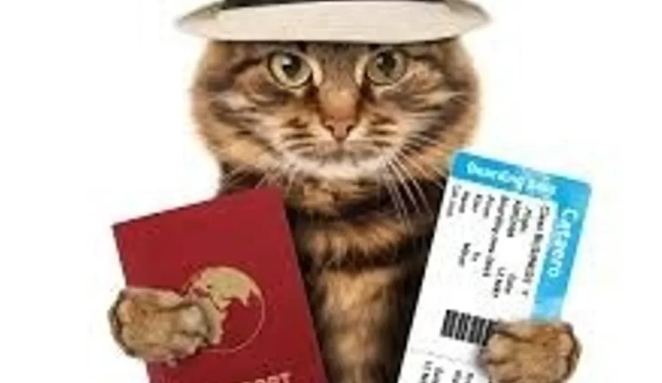 passport for cat