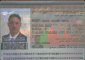 passport for egypt