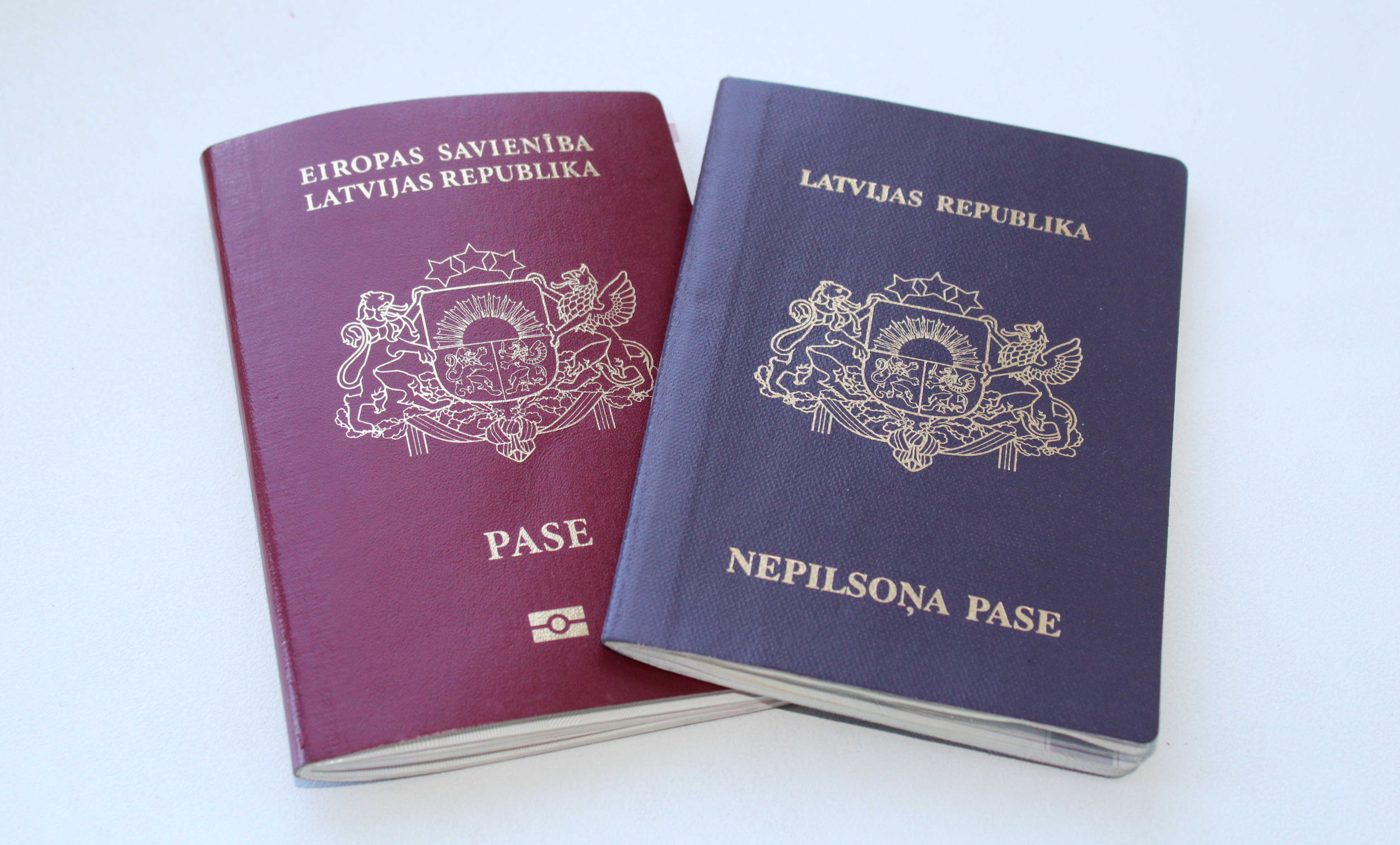 passport for non citizens