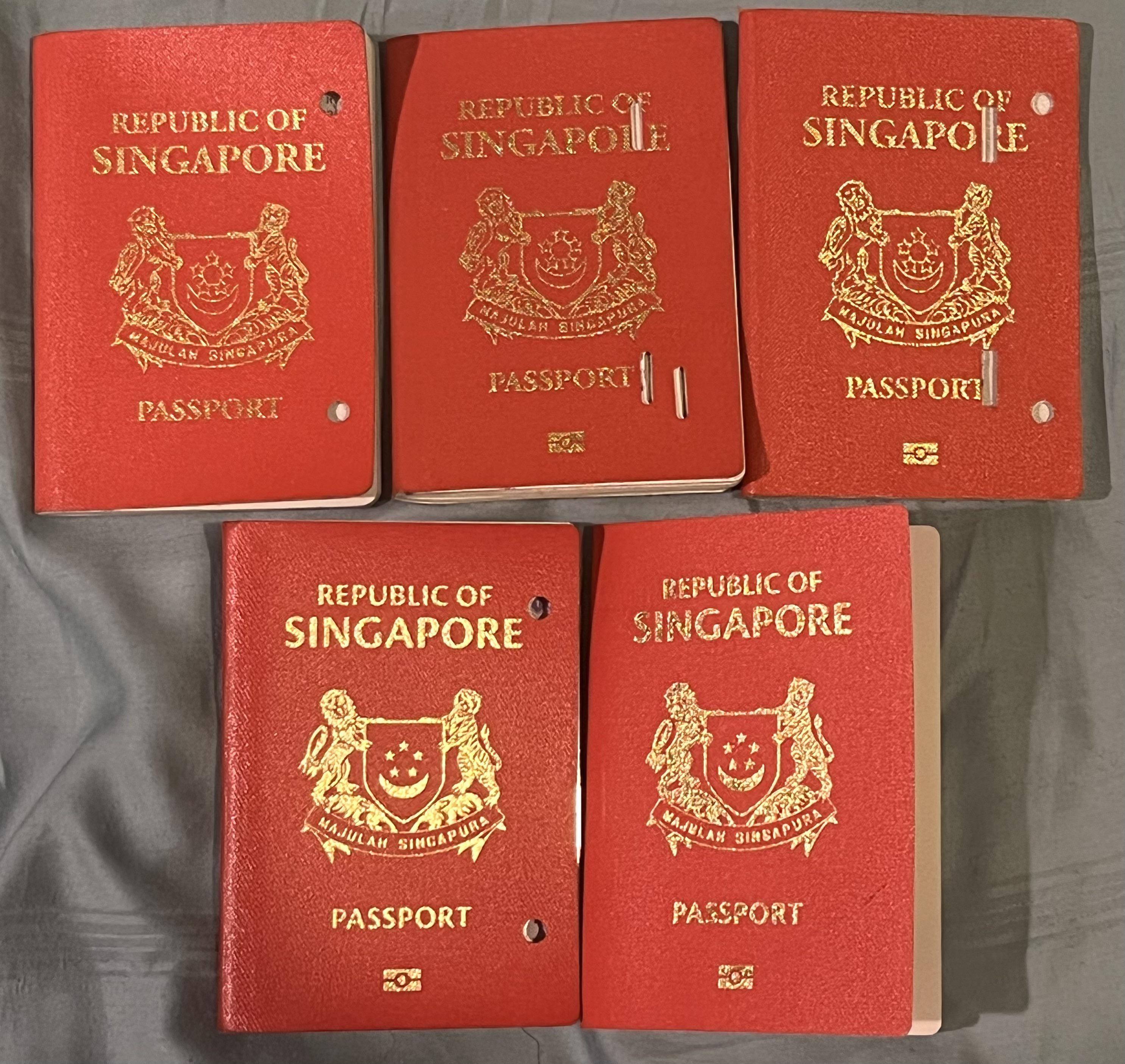 passport for singapore