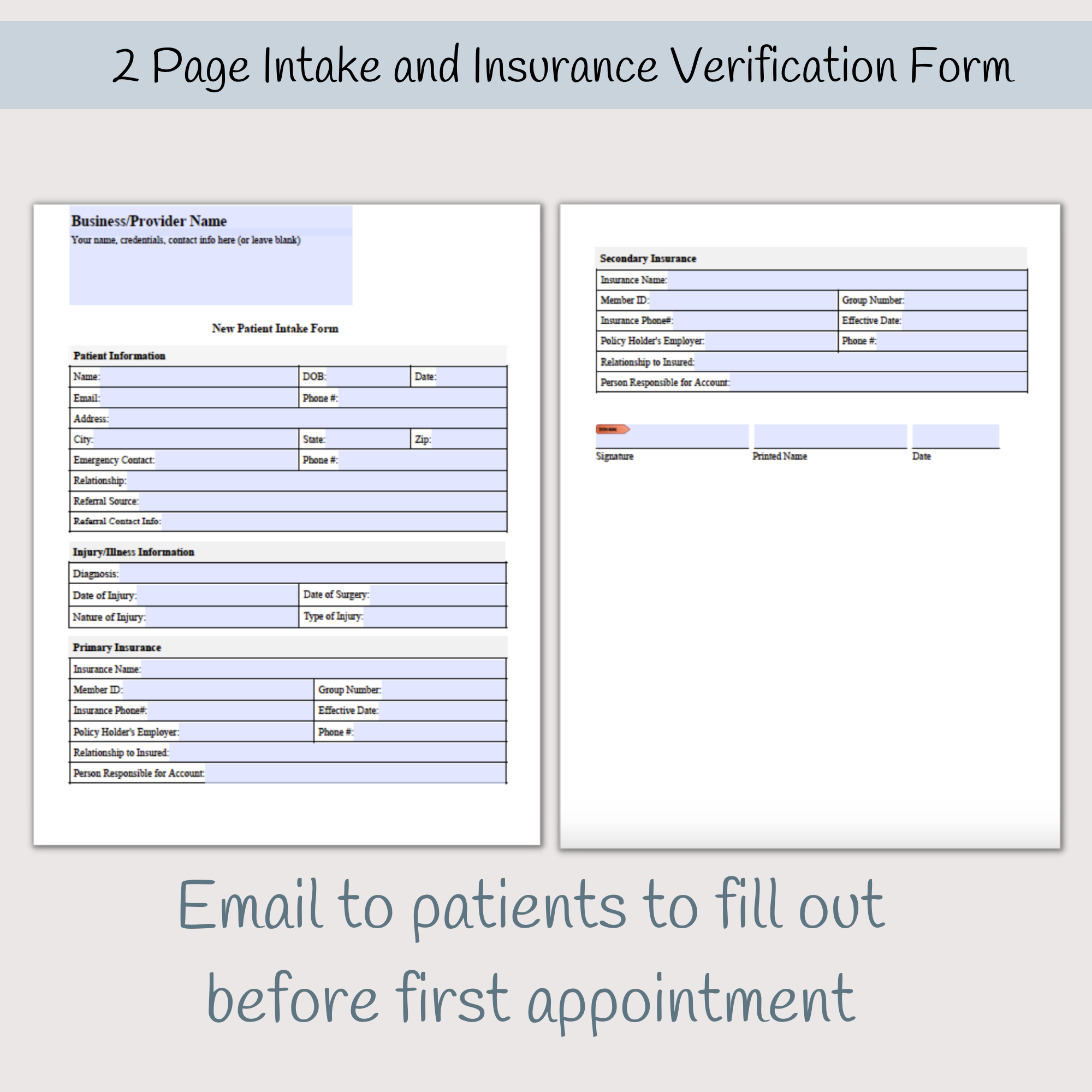 passport insurance verification