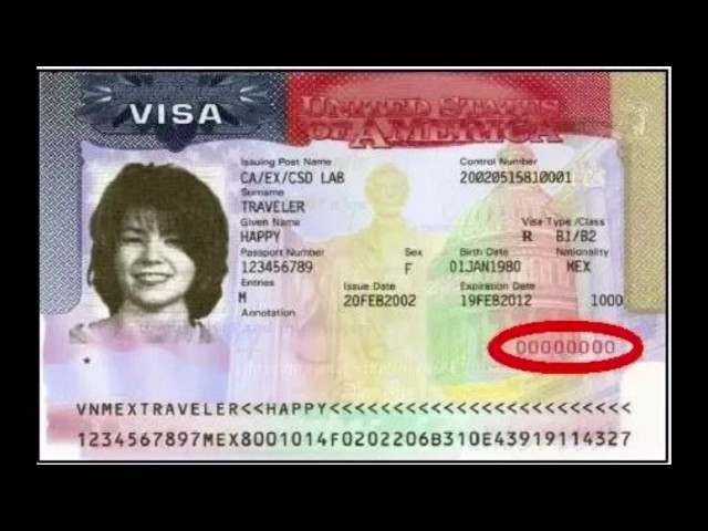 passport number on visa