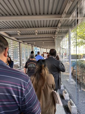 passport office downtown houston