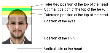 passport photo cropping tool