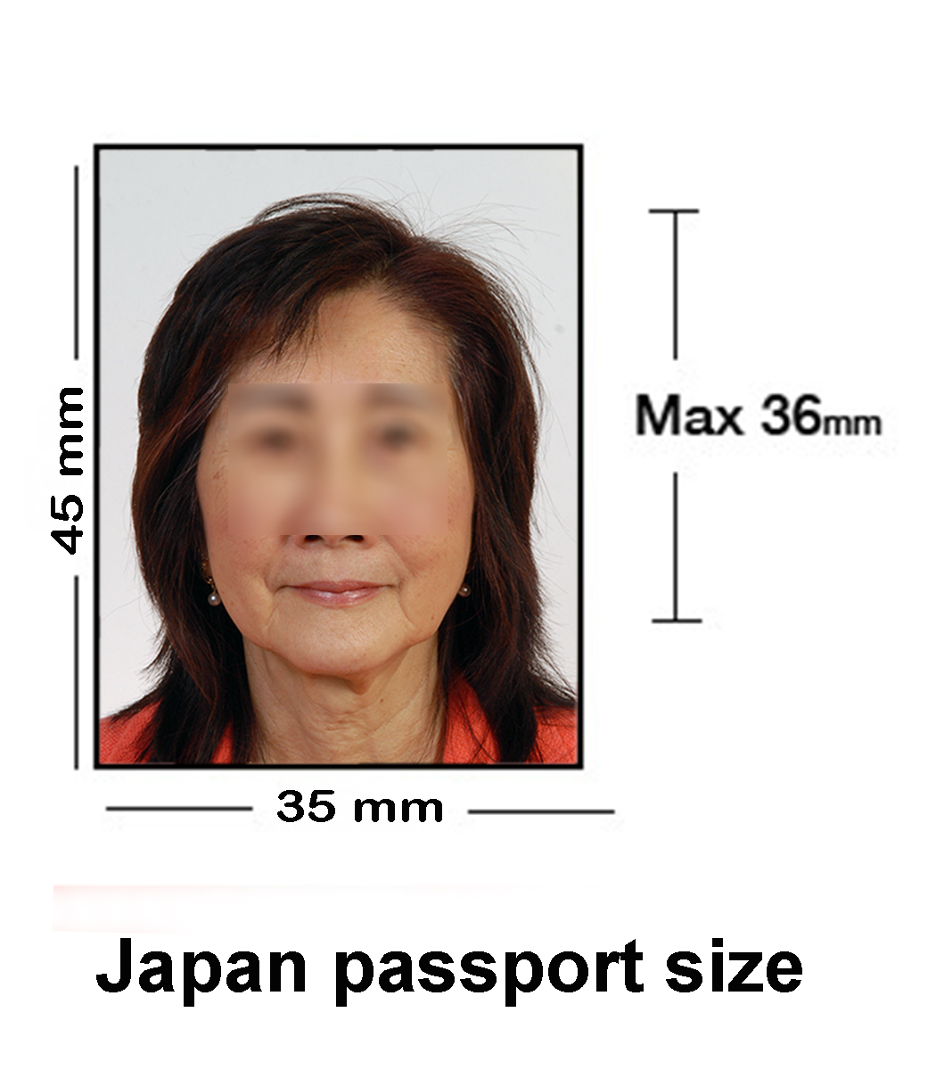 passport photo size japan