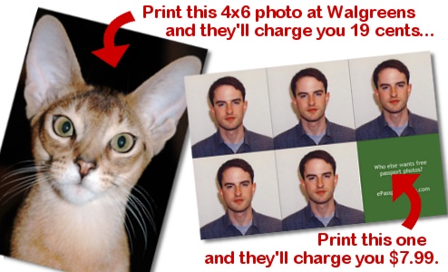 passport photos at walgreens