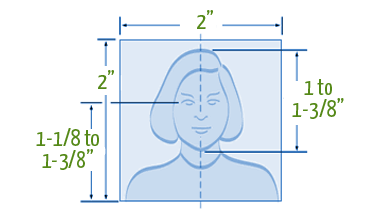 passport picture template