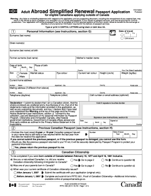 passport renewal form example