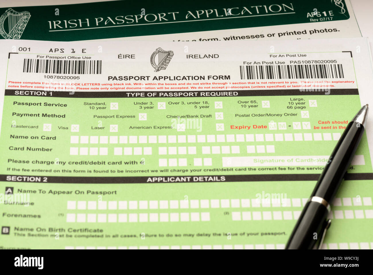 passport renewal in ireland