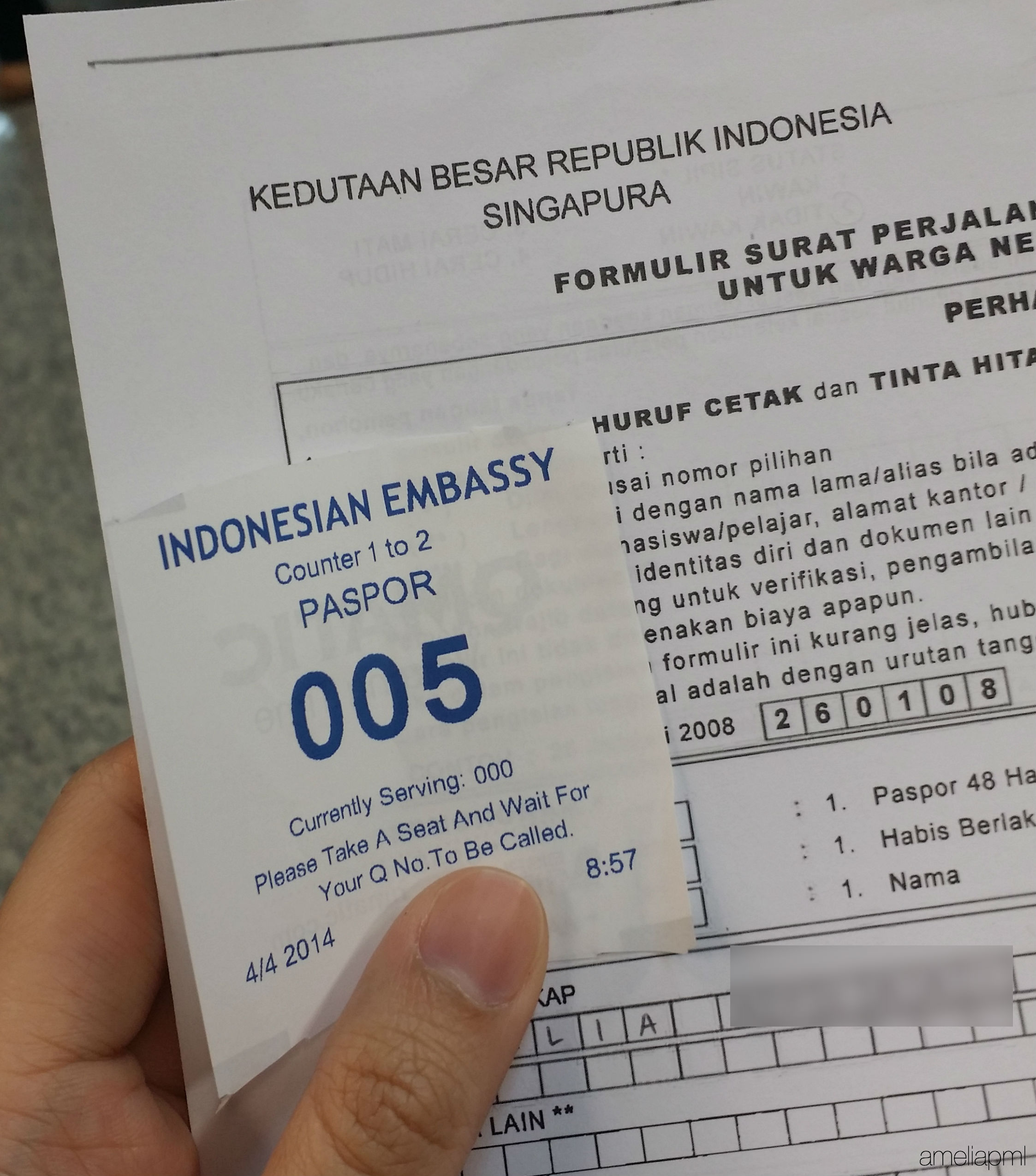 passport renewal singapore