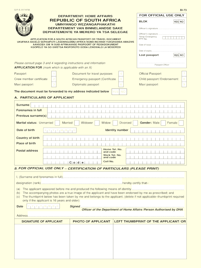 passport renewal south africa