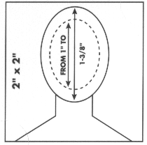 passport requirements picture