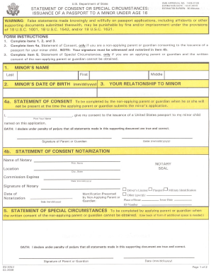 passport statement of consent