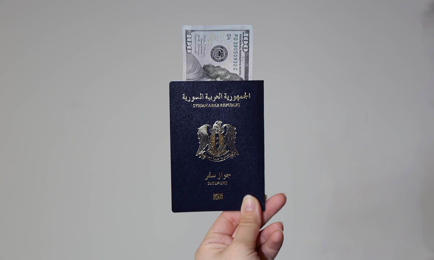 passport syria