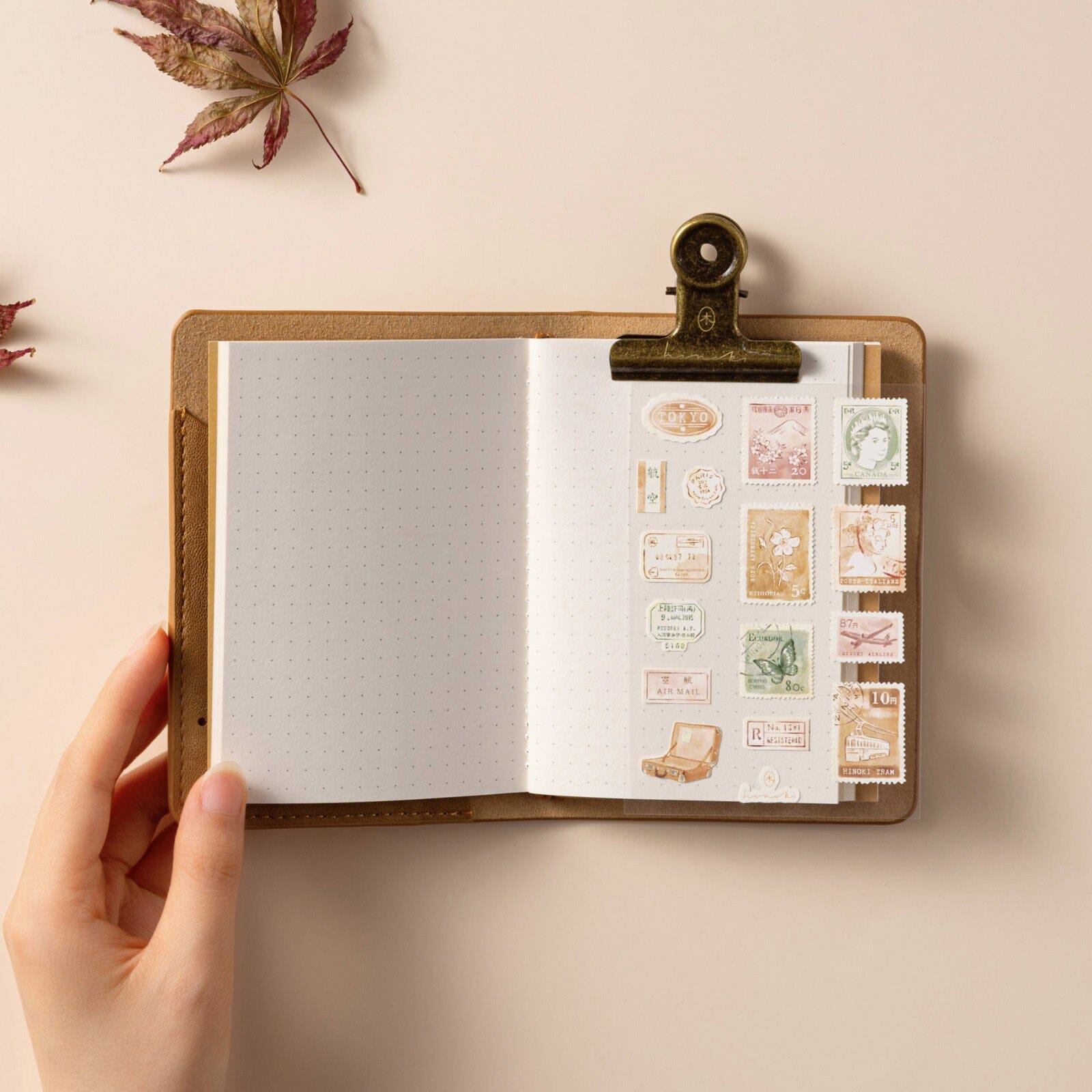 passport traveler's notebook size