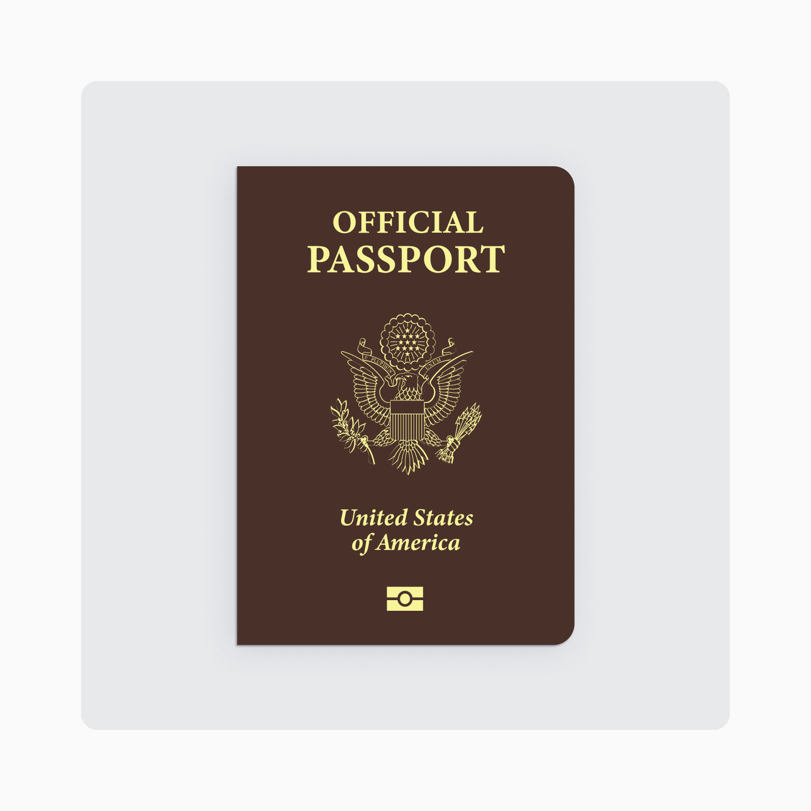 passport type p usa