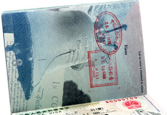 passport visa page