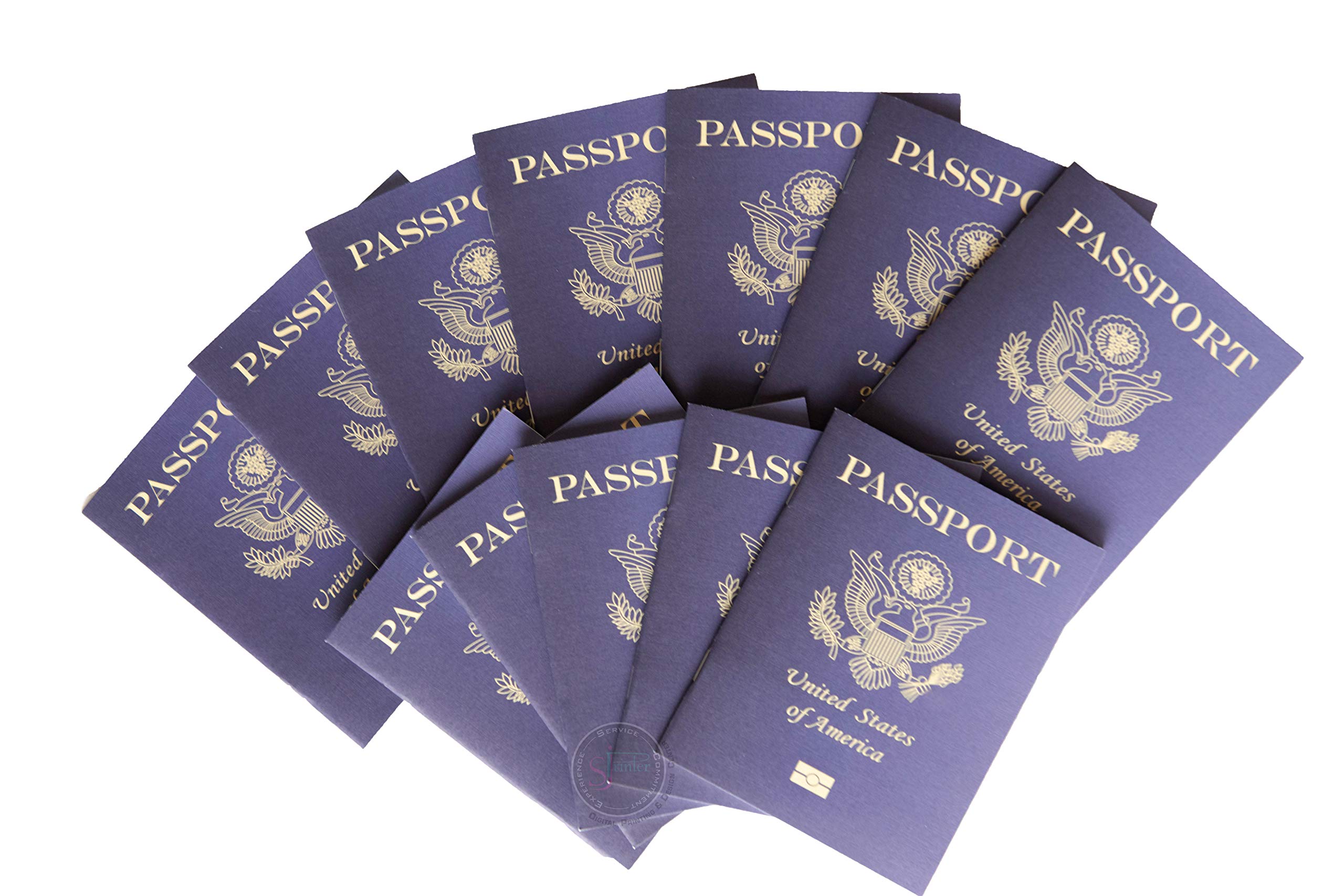 passports educational travel