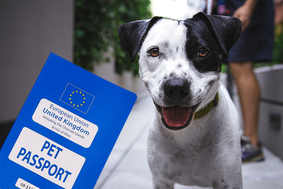 pet passport.