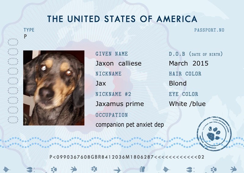 puppy passport us