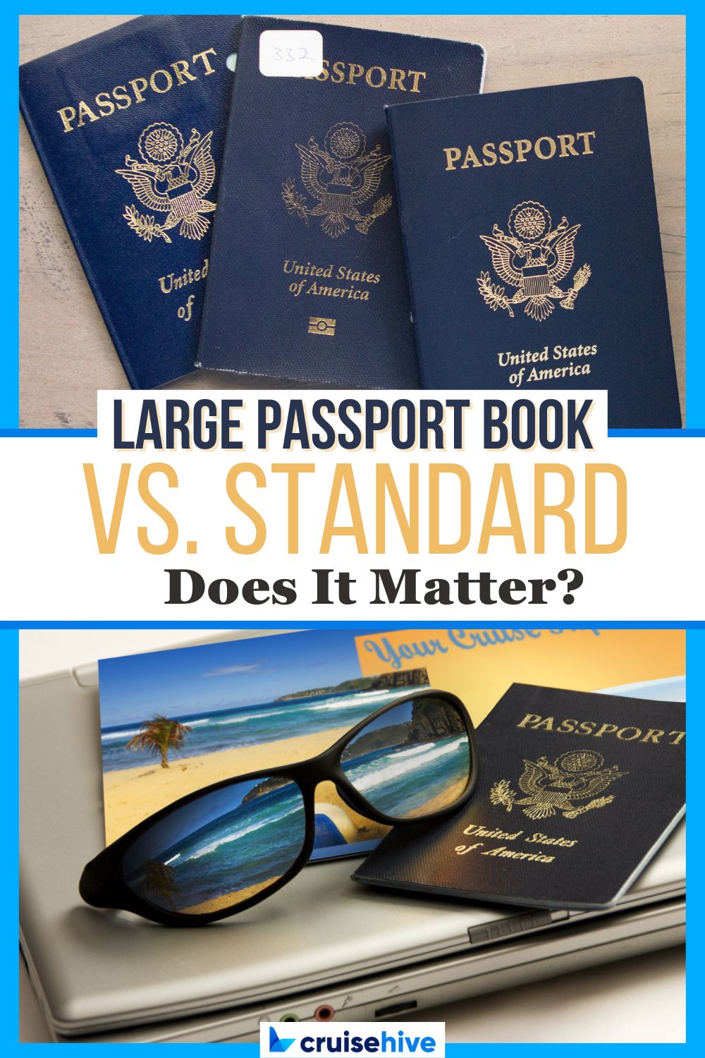 regular or large passport book