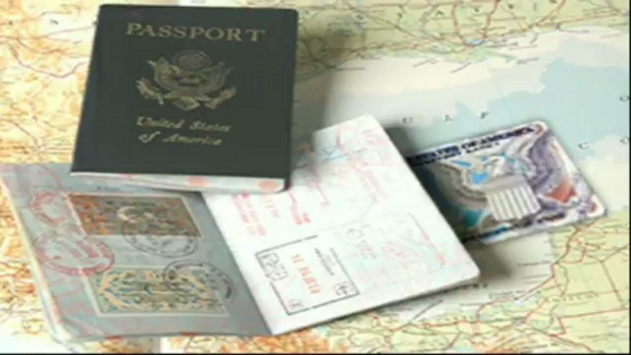 regular or large passport book