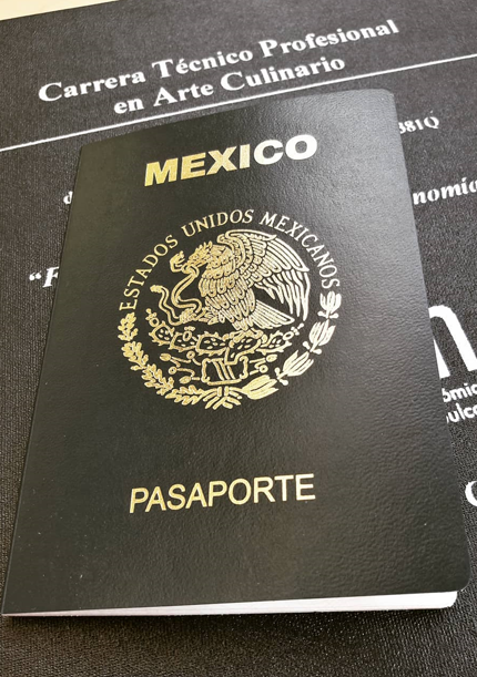 renew mexican passport online