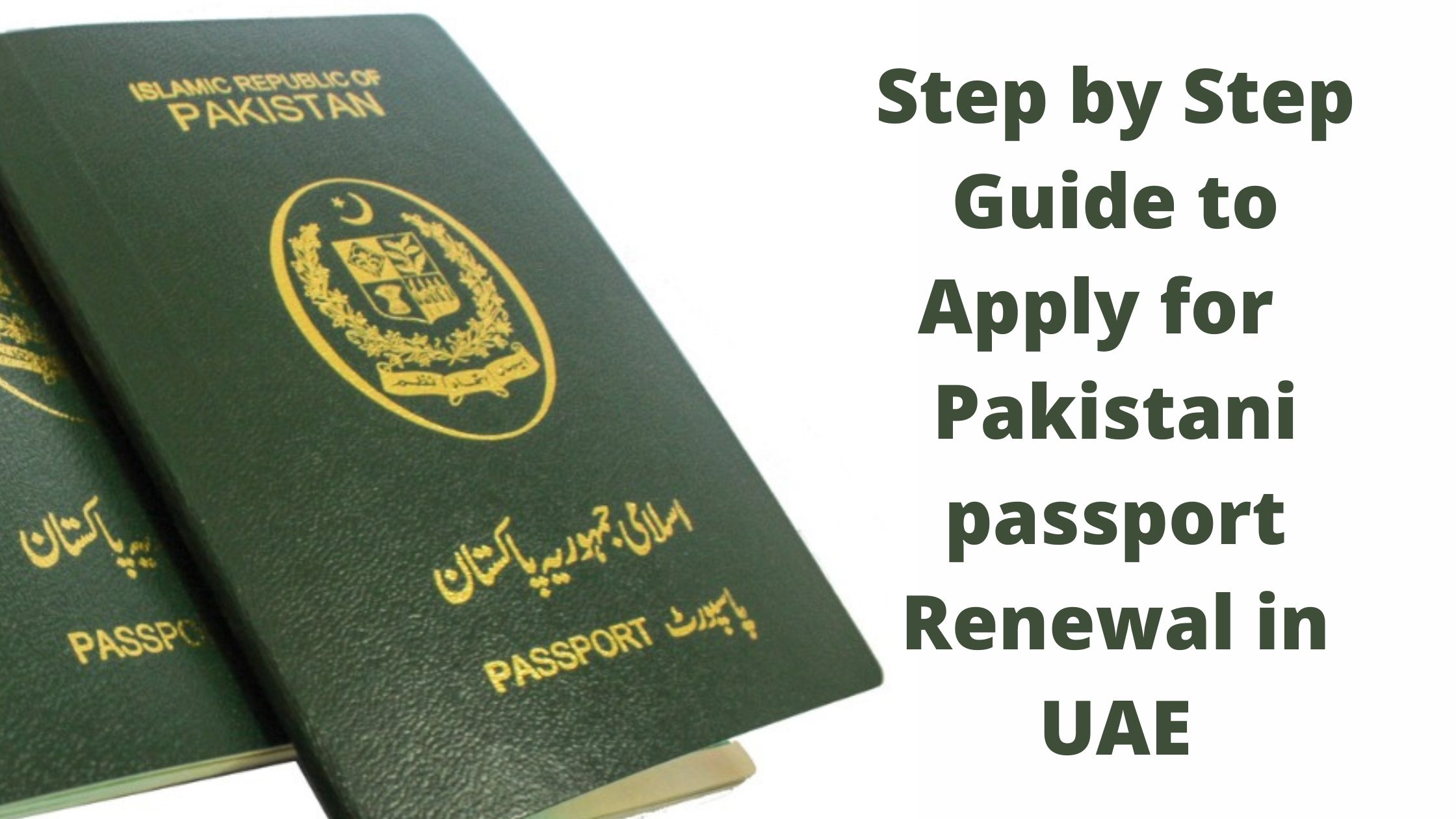 renew pakistan passport