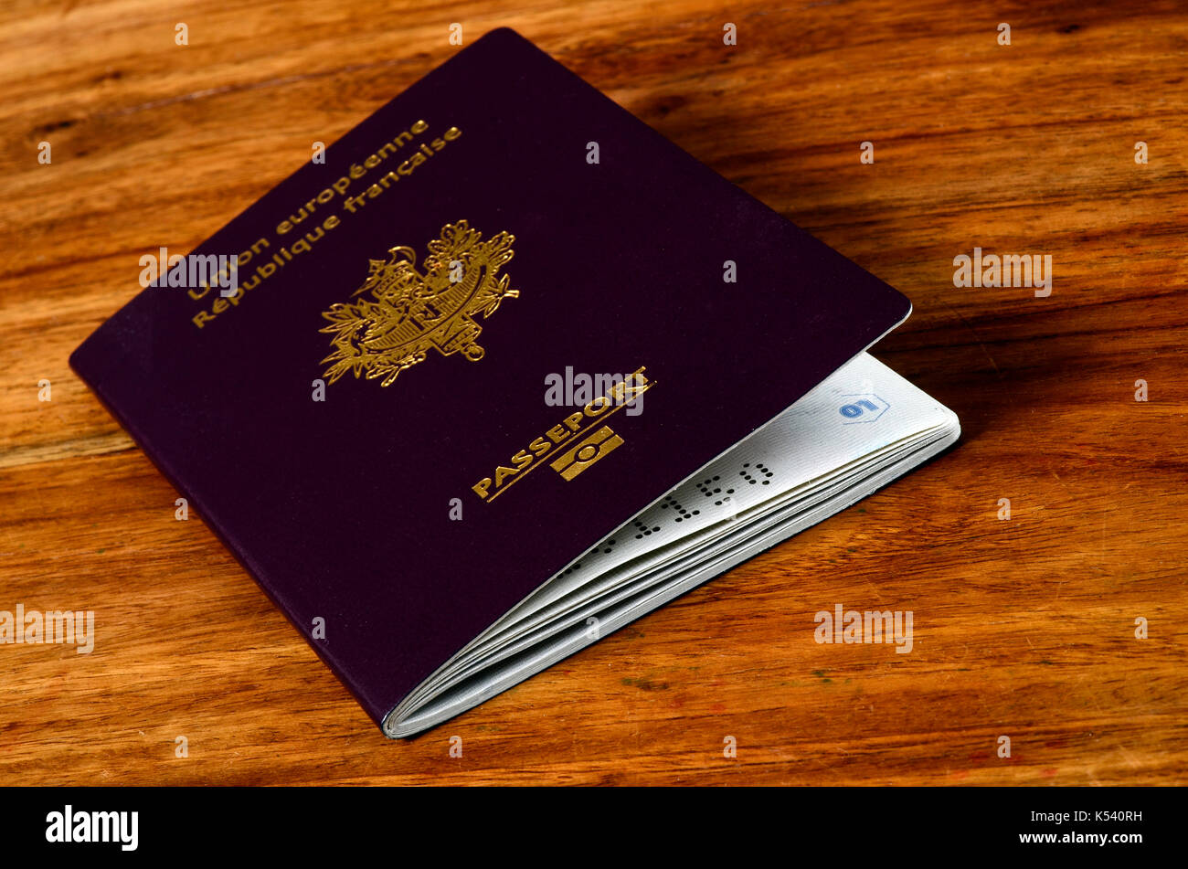 republic of france passport