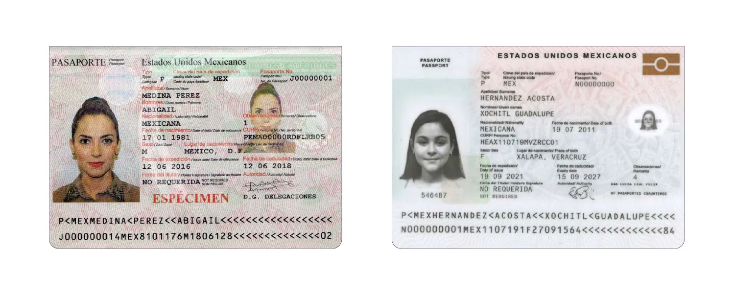 requirements for mexican passport