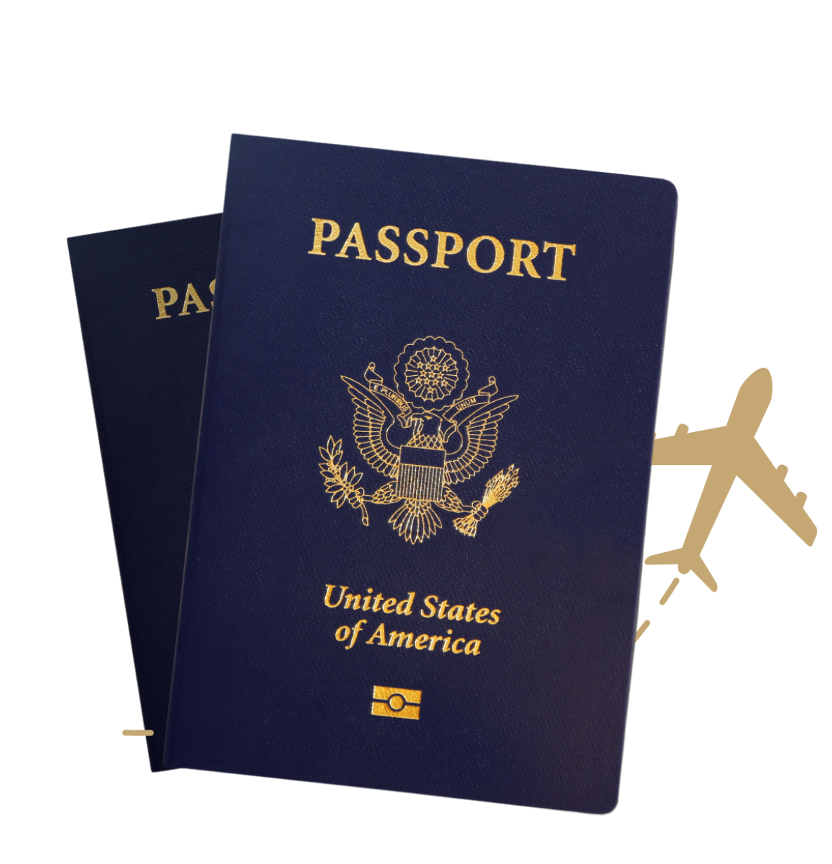 same day us passport