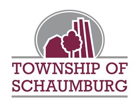 schaumburg township passport