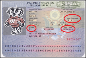 sevis id number on passport