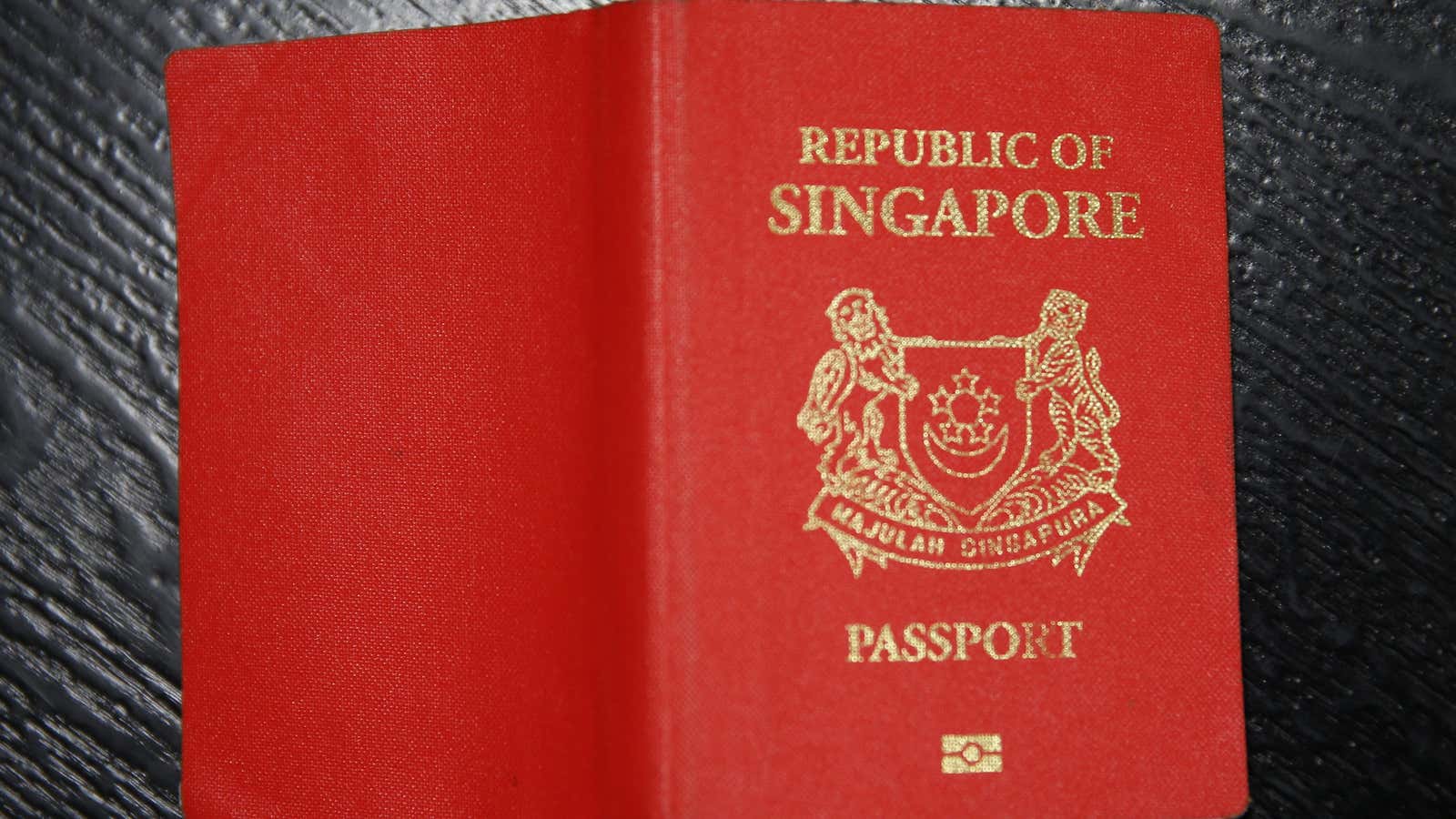 sg passport