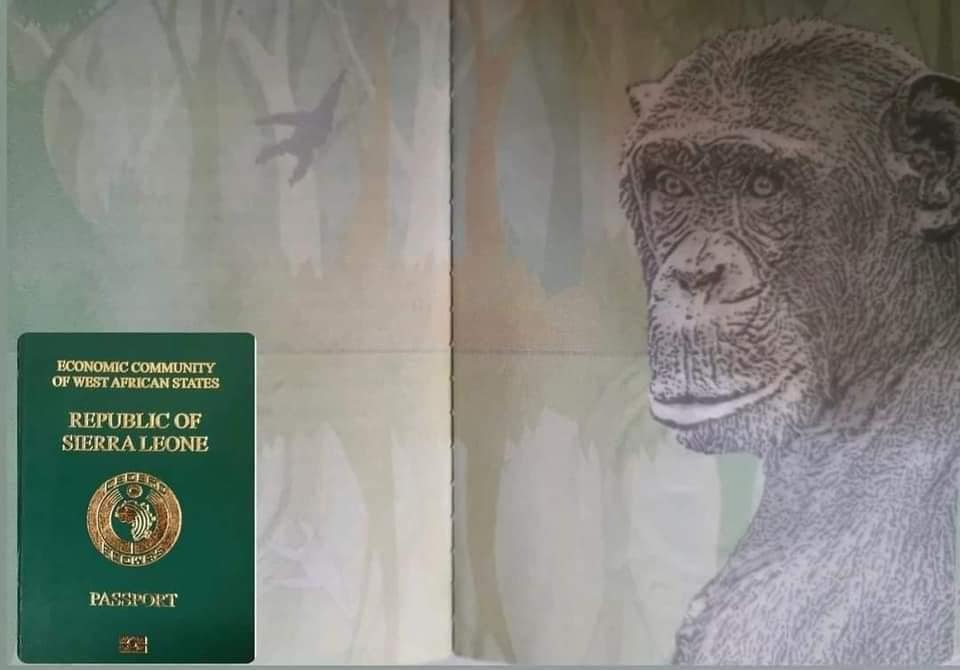 sierra leone passport