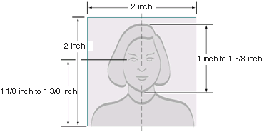 size of us passport photo