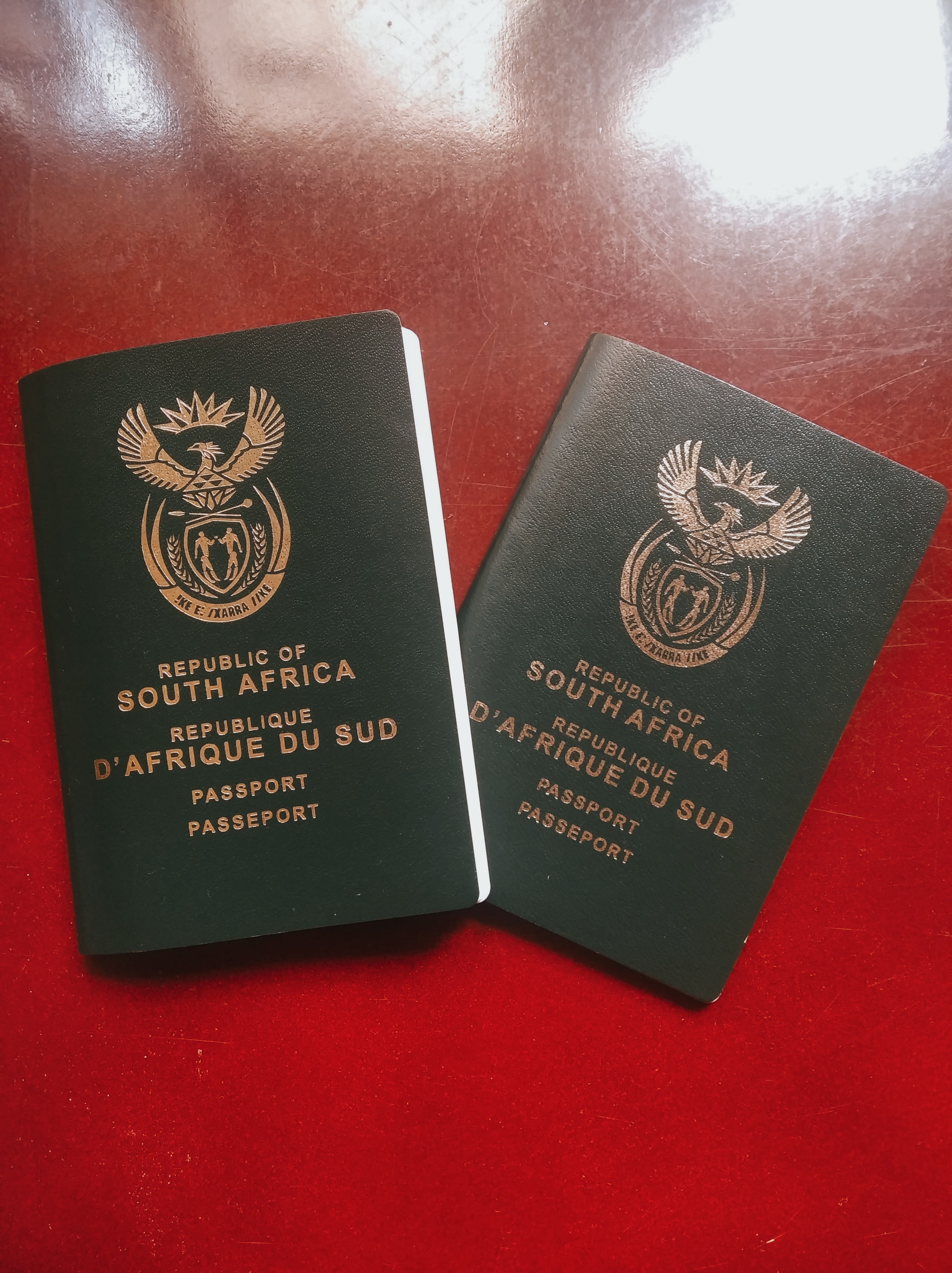 south africa passport requirements