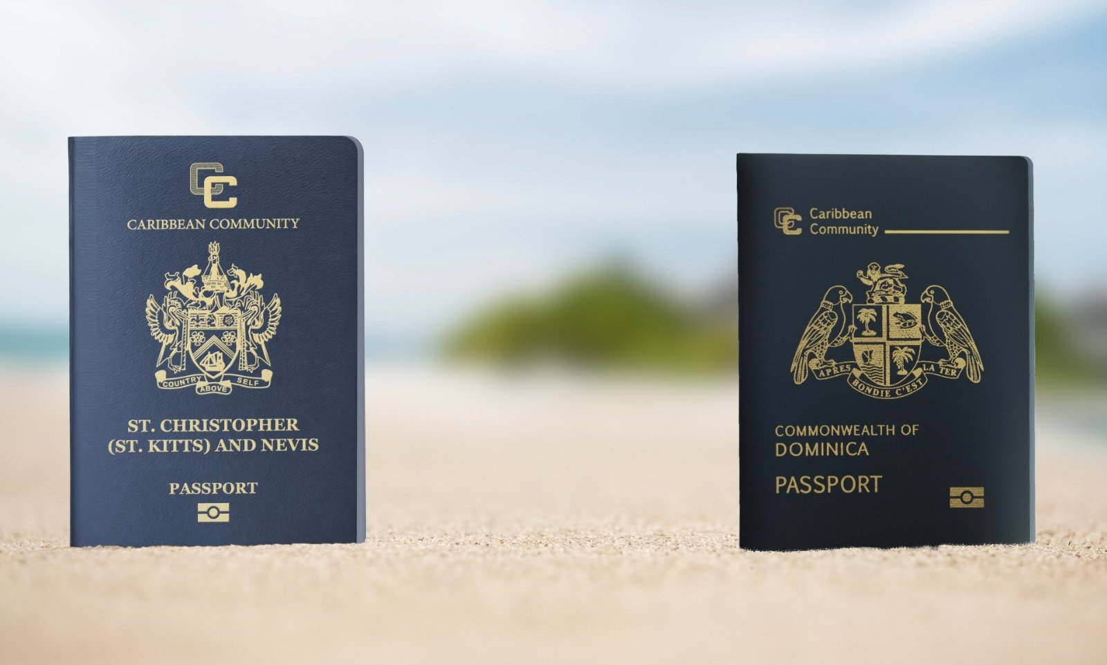 st kitts and nevis passport