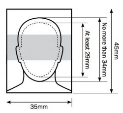 template for passport photo