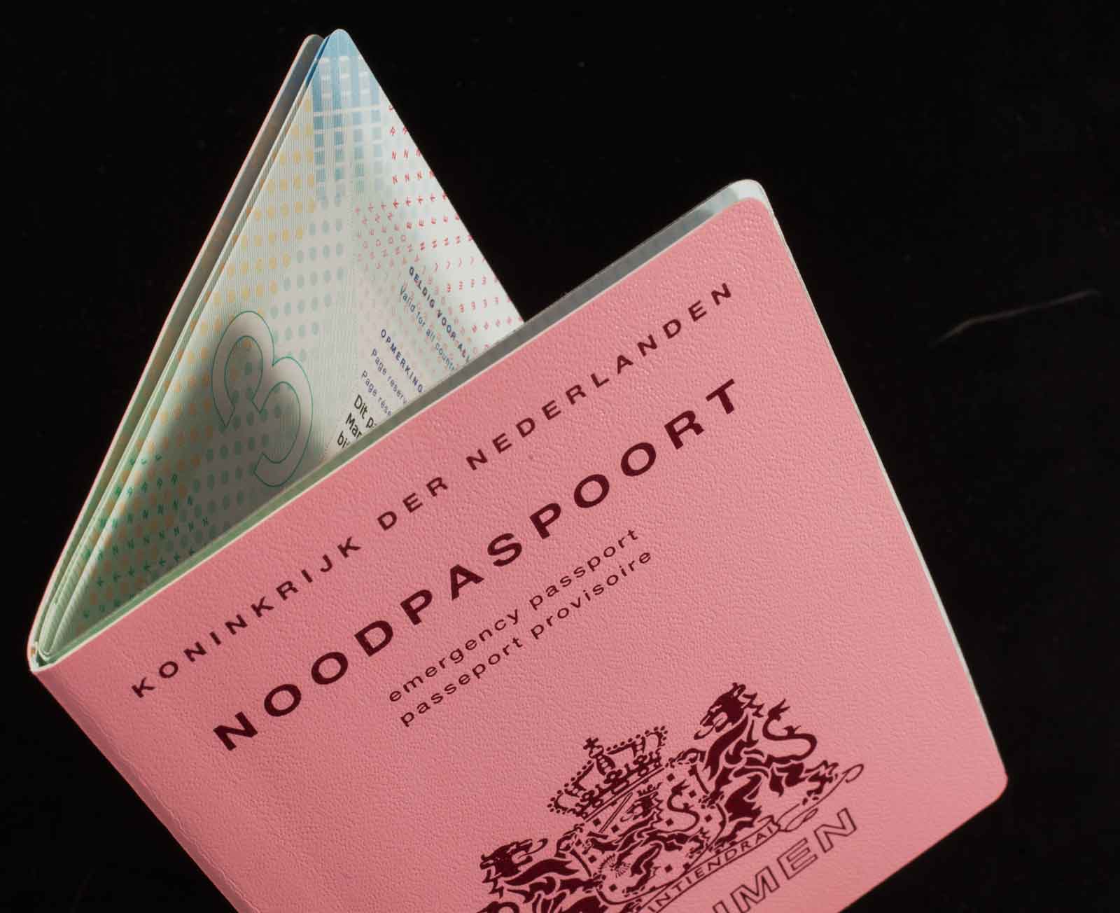 travel emergency passport