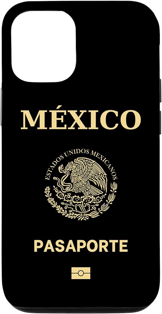 traveling to mexico passport