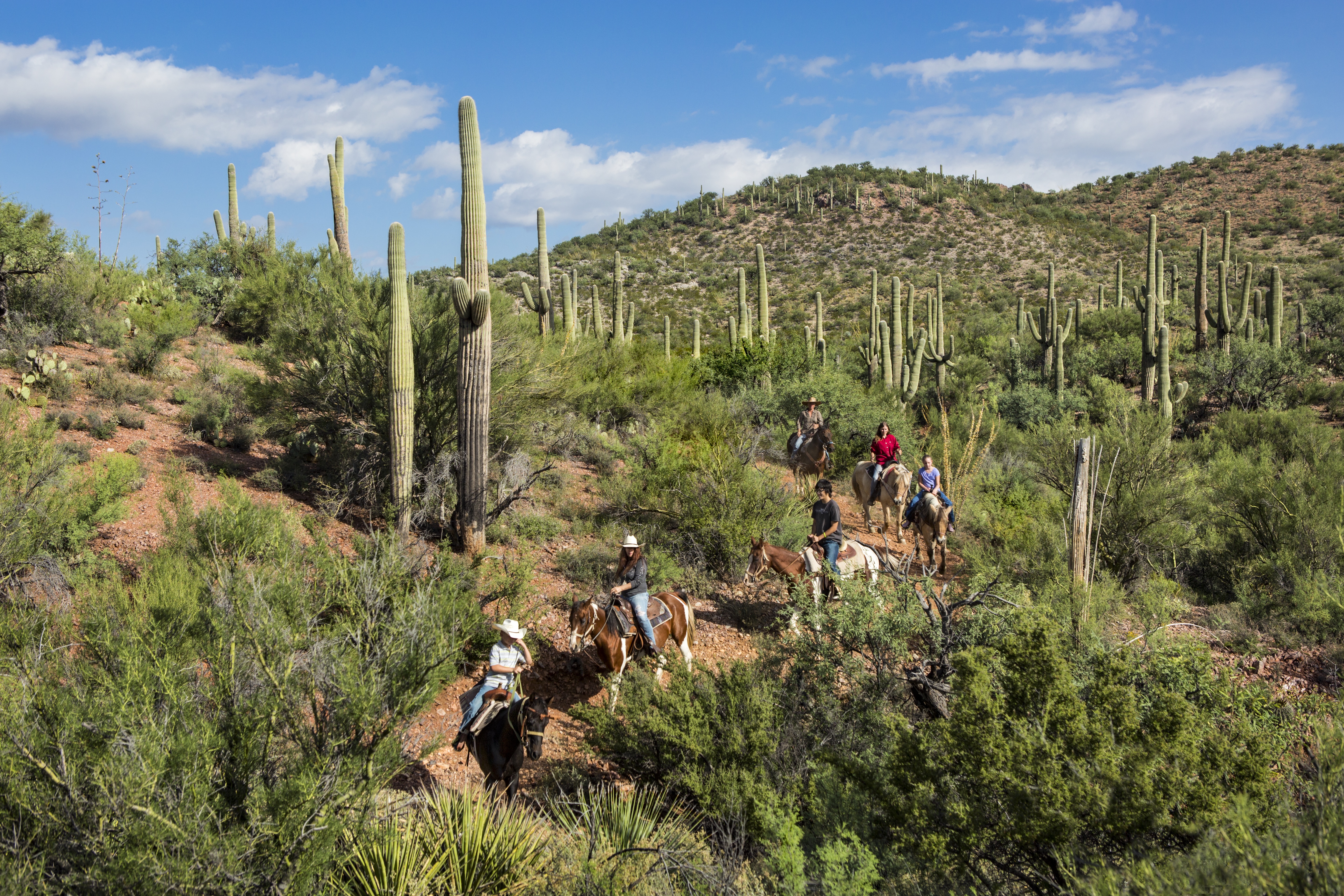 tucson passport